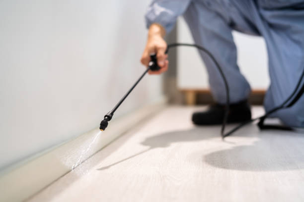 Bed Bug Pre-Treatment Preparation Assessment in Valentine