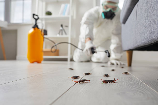 Post-Treatment Bed Bug Interceptor Monitoring in Valentine