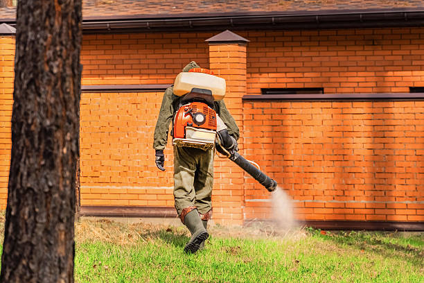 Bed Bug Clearance Verification and Documentation in Valentine